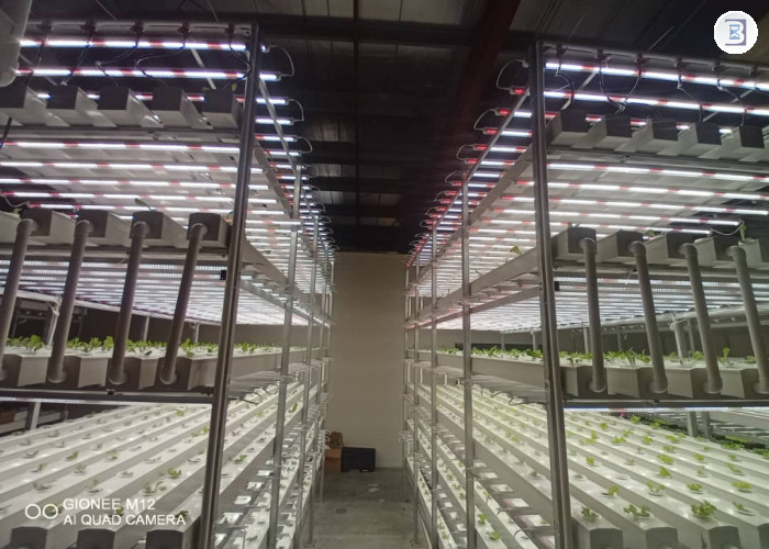 AGRITECH-HYDROPONICS FARM- READY TO OPERATE -  BUSINESS FOR SALE IN DIP-DUBAI